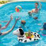 Dog Floating Drink Holder Pool 1